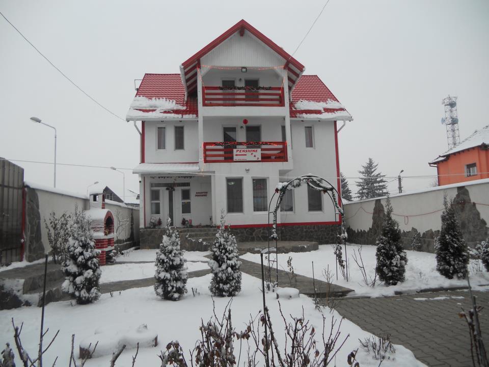 Pensiunea D&D Făgăraş Exteriör bild